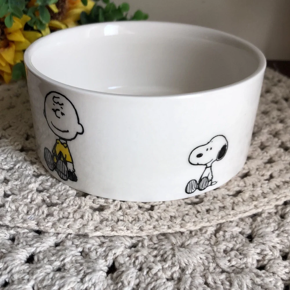Peanuts Character Ceramic PET Bowl